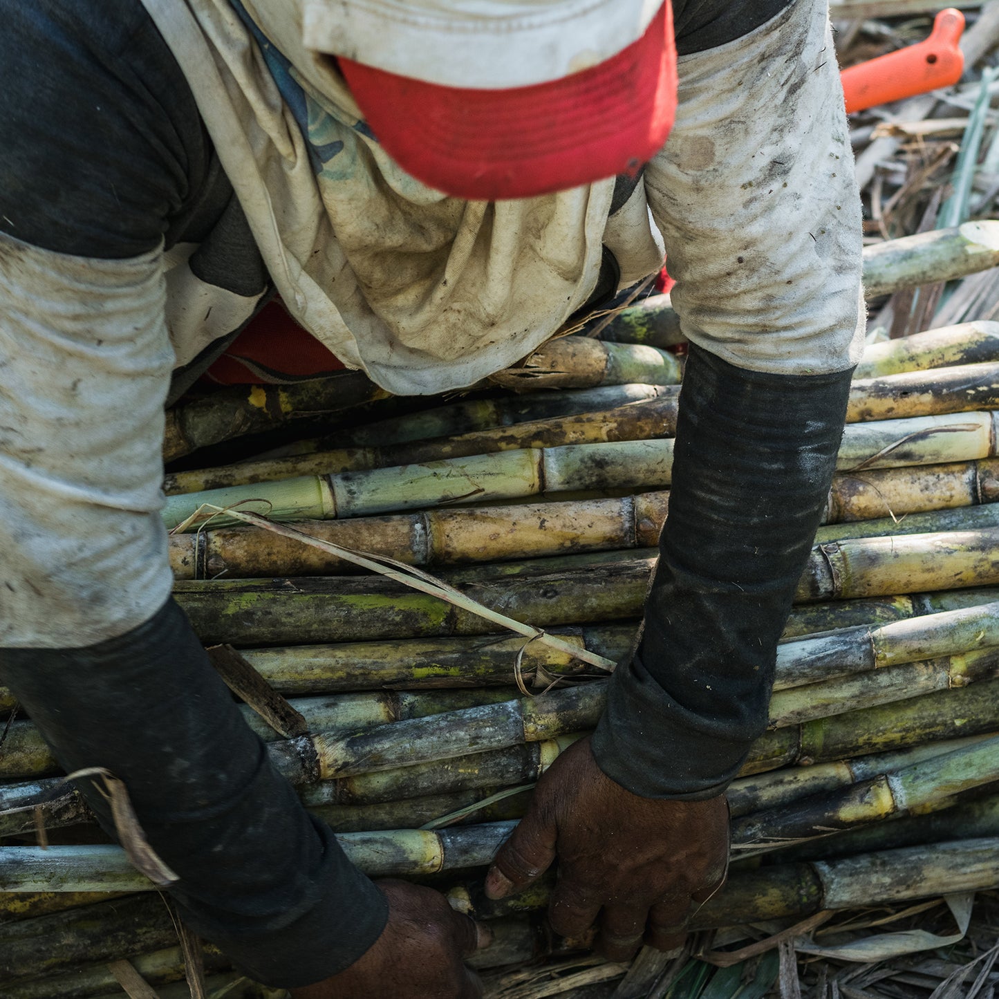 Wari - Panela Ecológica 500g